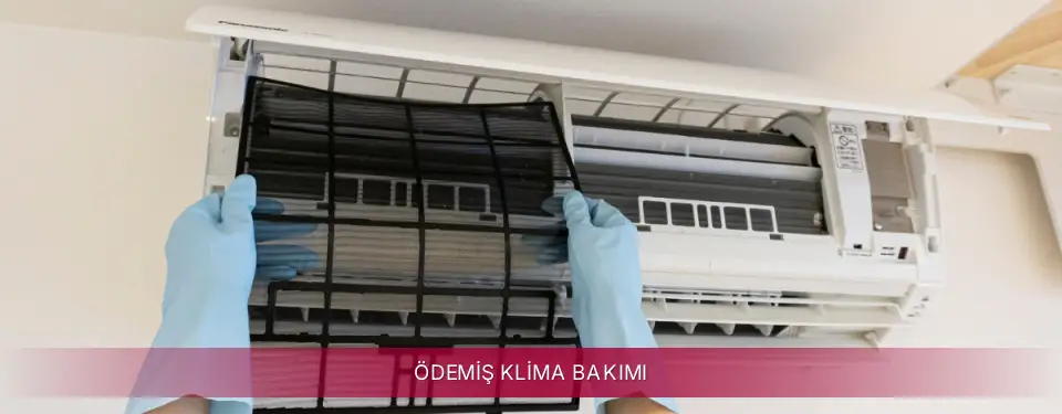 Ödemiş İlçemi LG Klima Bakımı