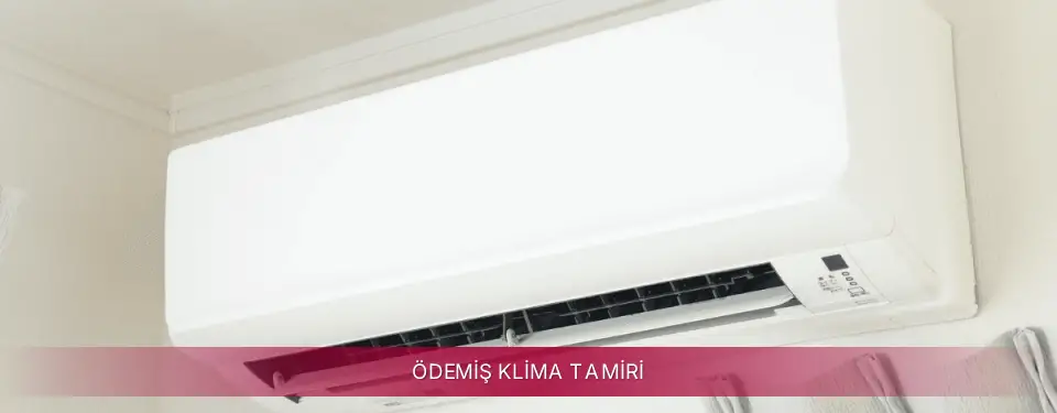 Ödemiş İlçemi LG Klima Tamiri