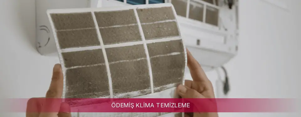 Ödemiş İlçemi LG Klima Temizleme